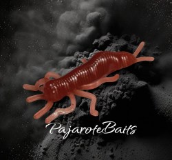 PAJAROTE MARRON